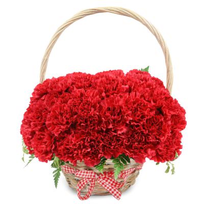 Корзина с красными гвоздиками «Яркая симфония»